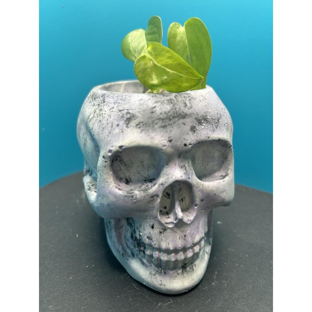 Skull Concrete Planter Lilac – Handmade Cement Succulent Plant Pot, Handmade - Picture 6 of 9